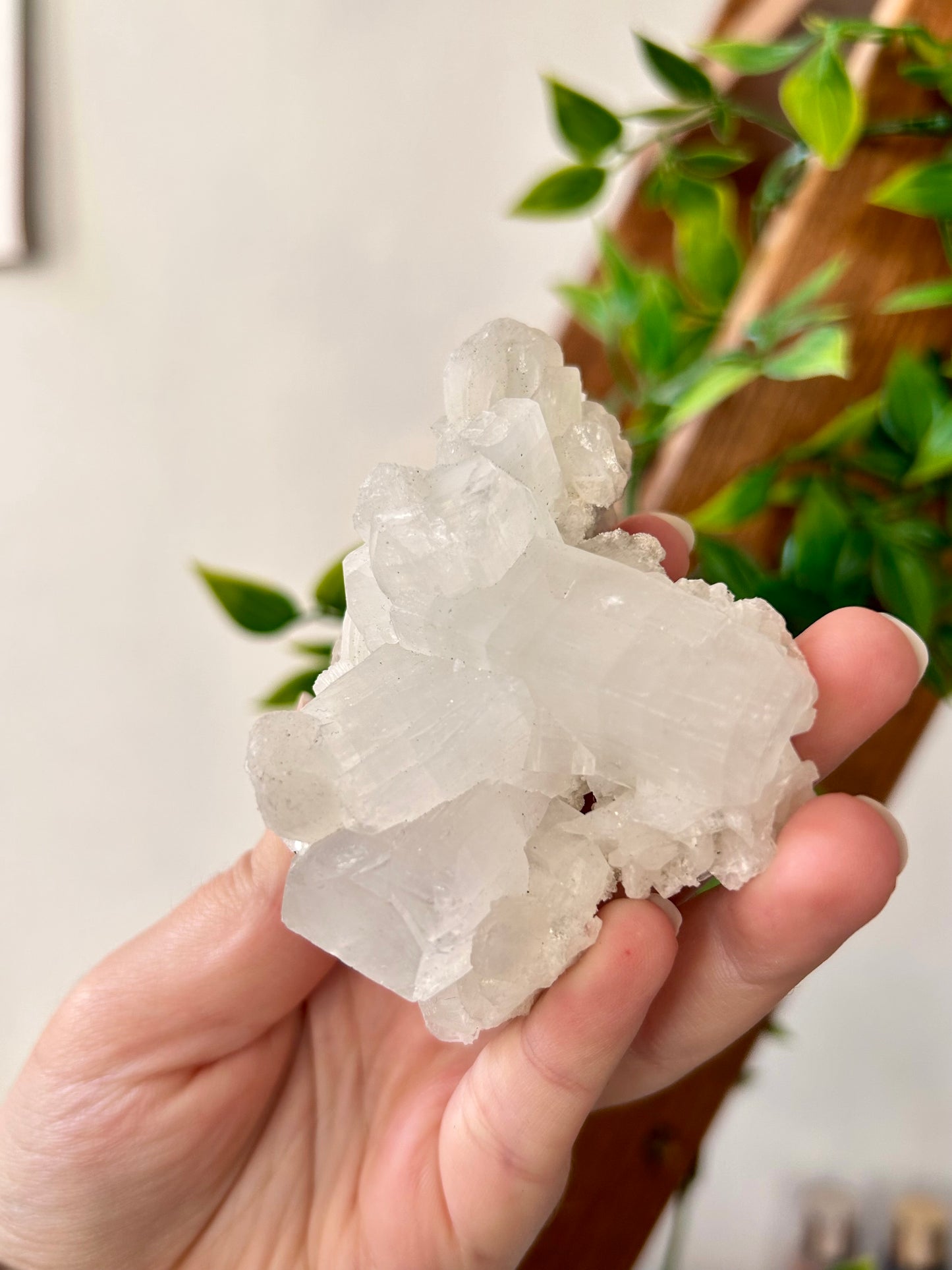 Apophyllite Cluster