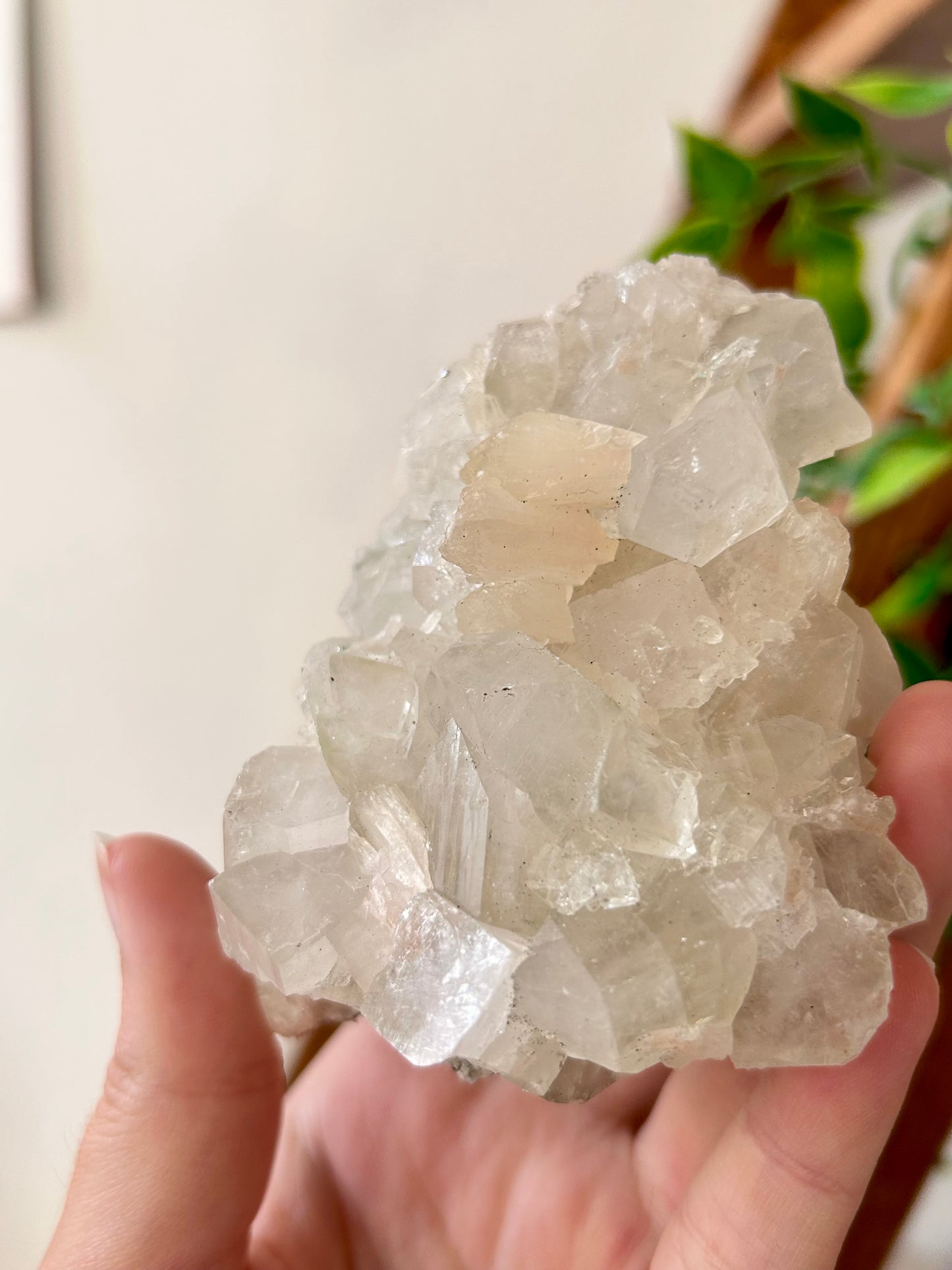 Apophyllite Cluster