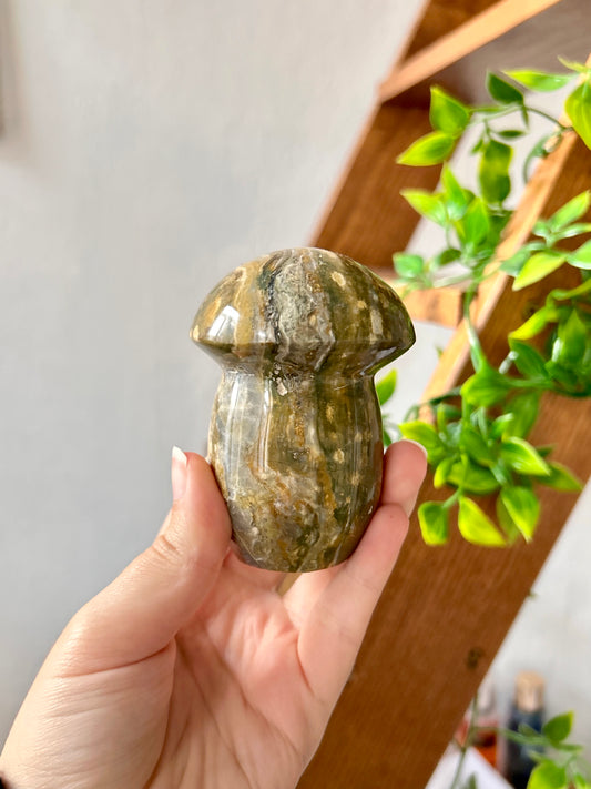 Ocean Jasper Mushroom